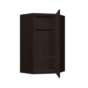 Wall Diagonal Corner Cabinet