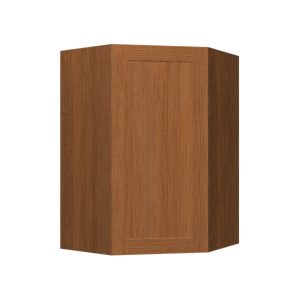 Wall Diagonal Corner Cabinet - 1 Door