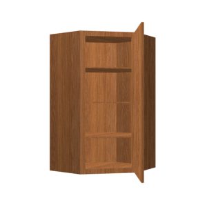 Wall Diagonal Corner Cabinet - 1 Door